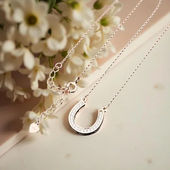 Reserved for @katybrady8887 pcs of Bright Path Horseshoe Necklace
